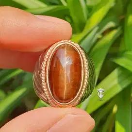 Batu Natural Cat Eye Apatite Madagascar Honey Color 16.33 Ct NTE Memo