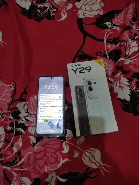 Vivo y 29 ram 8/256