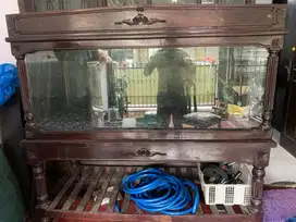 Aquarium Besar (Kayu Jati)