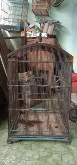 bek ne enten seng minat kk kayu ukuran 50x50