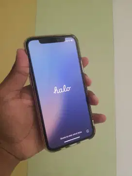 IPHONE 11 PRO 256 GB FACE ID TRUETONE BISA