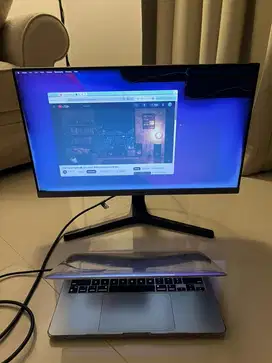 Monitor Samsung Apa Adanya