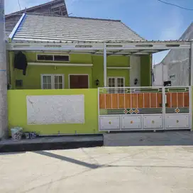 Rumah terlaris di pucang gading bawah