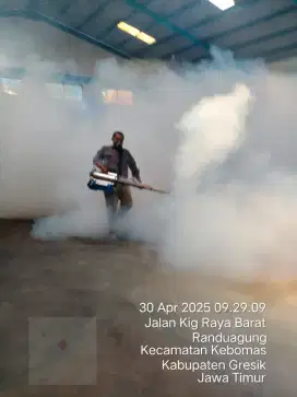 Jasa fogging dan jasa anti rayap