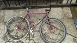 Sepeda Fixie doltrap garion