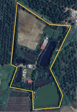 Jual Tanah , Sawah , Sawit, Gudang , Rumah dan Kolam Siap pakai.