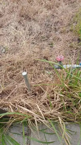 Tukang kutip sampah komplek