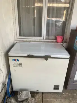 Freezer GEA 220lt