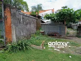TANAH TANTULAR RENON DENPASAR, BALI