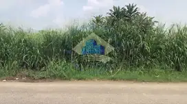 Dijual Tanah di Jl Putat Nutug, Ciseeng, Bogor - Jawa Barat.