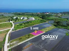 TANAH PREMIUM SIAP BANGUN KEDUNGU DESA BELALANG KEDIRI TABANAN, BALI