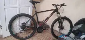 Bismillah jual cepat sepeda gunung polygon premier 4 size L normal