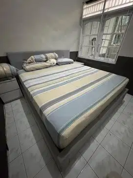 Dipan & Springbed