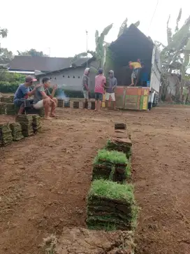 Jual rumput lapangan sepak bola tegal termurah