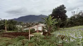 Tanah Cocok Untuk Cluster Di Cisarua KBB