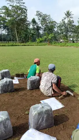 Jual rumput lapangan sepak bola temanggung terbaik