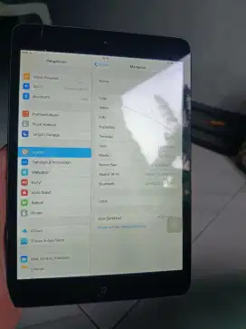 Ipad mini 1 16gb wifi only