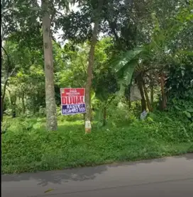 Jual Cepat Tanah Pinggir Jalan Raya Cibeber 2845 m²