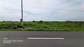 Tanah Sawah Murah Zona Kuning Dekat Umbul dan Exit Tol Kuncen