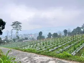 Tanah 1068m² View Cantik Tanpa Halang Ngargoyoso