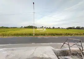 Tanah Prospektif 1839m2 Dekat Kantor Bupati Kanigoro Blitar