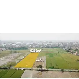 Jual Tanah industri di palur mojolaban jawa tengah