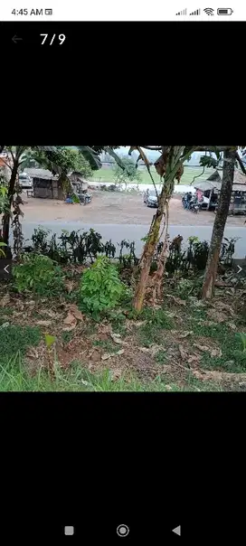 jual murah Tanah jln ry Cikalong pinggir jalan