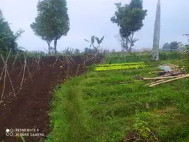 Di Jual Tanah Subur Di Cisarua Parongpong Kabupaten Bandung Barat