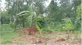 Dijual Cepat Tanah Komersil di Lenteng Agung Jakarta Selatan