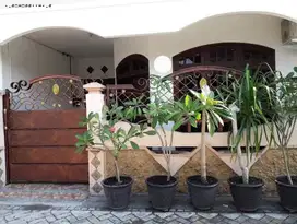 Rumah Kos Klampis Semalang  emmi xmpc