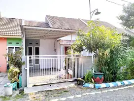 Disewakan MURAH  Rumah Siap Huni Shapire Residence  Gedangan Sidoarjo