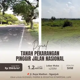 Dijual Tanah Pekarangan 2.1ha Pinggir Jalan Nasional