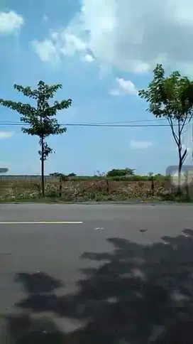 Tanah Kawasan Industri Strategis Di Widang Tuban