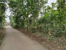 Dijual Tanah Kebun | Berdamping Dengan Vila Dan Rumah Warga
