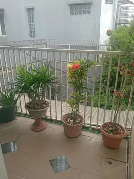 DIJUAL/SEWA RUMAH DI JL PANDU BANDUNG
