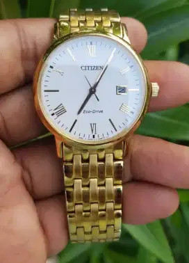Citizen Ecodrive Gold