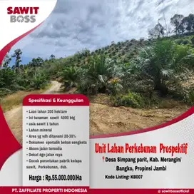 Lahan Peruntukkan Sawit