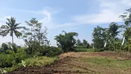 Lahan SHM Pinggir Jalan – Lokasi Strategis Dekat Samsat
