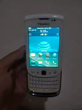 Blaxkberry 9810 (torch 2)