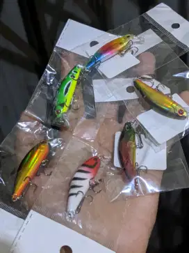 Minnow umpan casting Murah umpan ikan warna gacor

Harga 1pcs 10rb