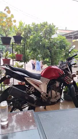 SCORPIO TH 2011