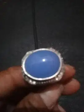 Tuker kandang burung no2