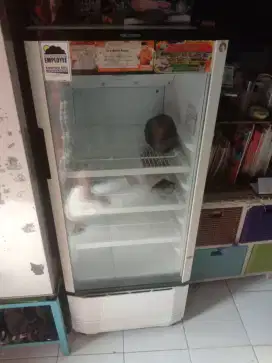 showcase polytron