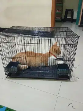 kandang kucing bisa untuk burung nisa untk ayam