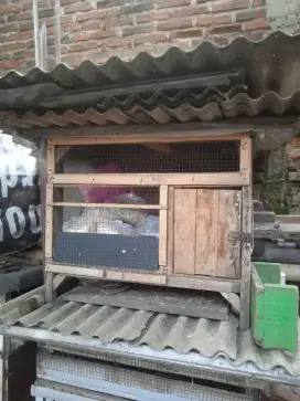 Kandang untuk ayam pitik/kelinci/kucing