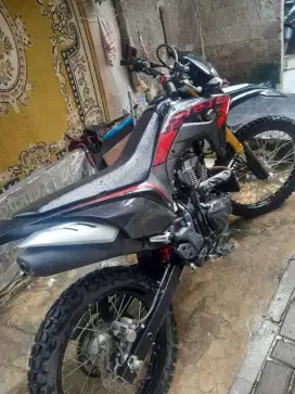 HONDA CRF 2024 CAKEP