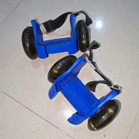 Jual Sepatu Roda 2 Import Warna Biru