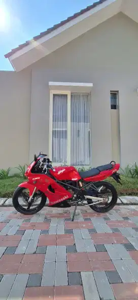 Ninja RR Old 2010
