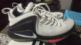 Nike Lebron zoom Witness