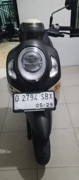 Scoopy Donat 2024